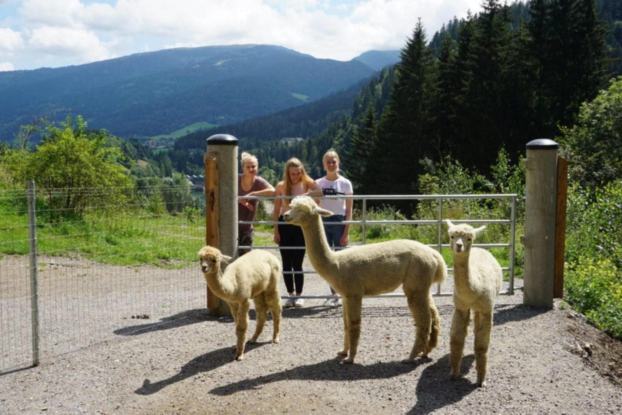 Vitalhof Am Kreischberg By Alps Resorts Bodendorf  Exteriér fotografie